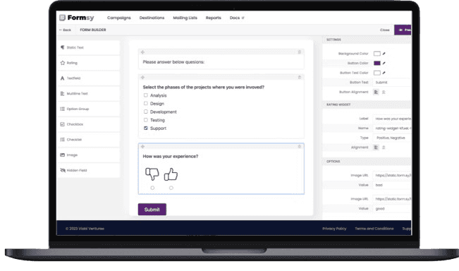 Survey creation via form builder