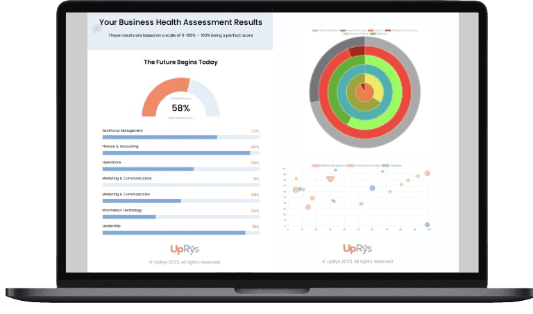 UpRys Business Health Assessment